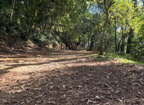 Estrada para caminhada